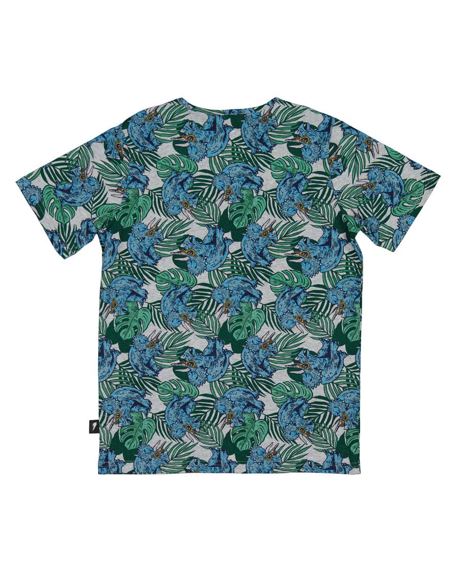 Radicool Dude Boys Tops Tropical Dino Tee