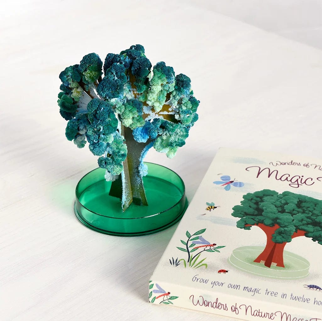 Rex London Toys Wonders of Nature Magic Growing Tree