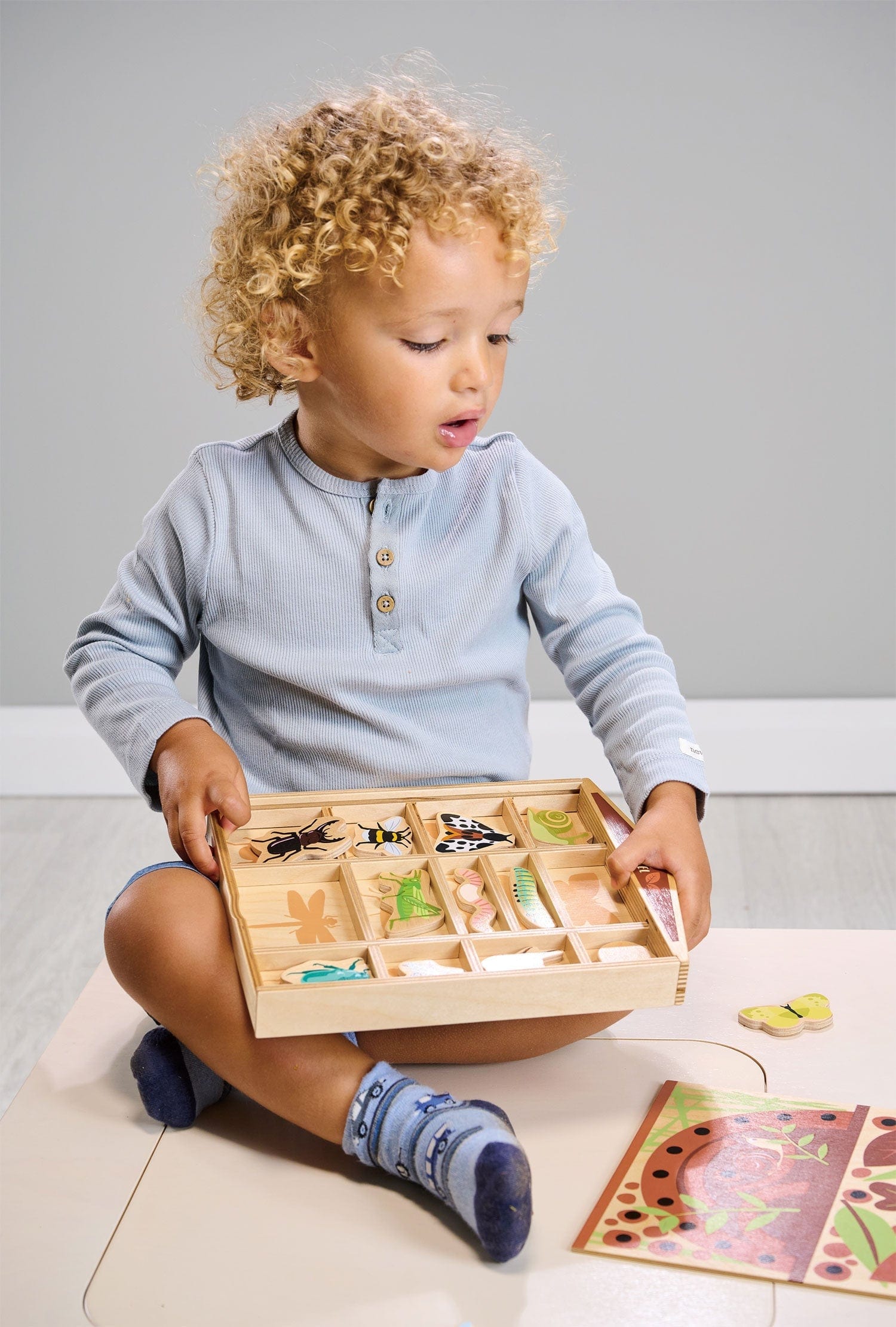 Tender Leaf Toys Toys The Bug Hotel Collection