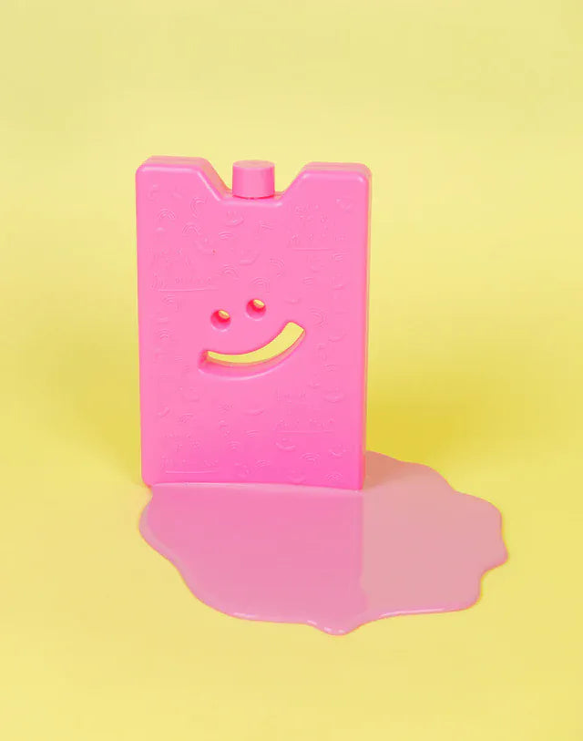 The Somewhere Co. Bags Ice Brick