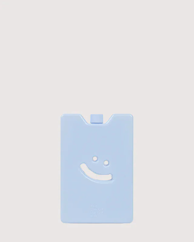 The Somewhere Co. Bags Ice Brick