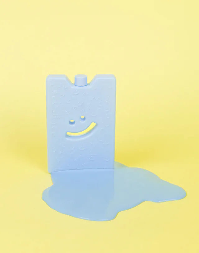 The Somewhere Co. Bags Ice Brick