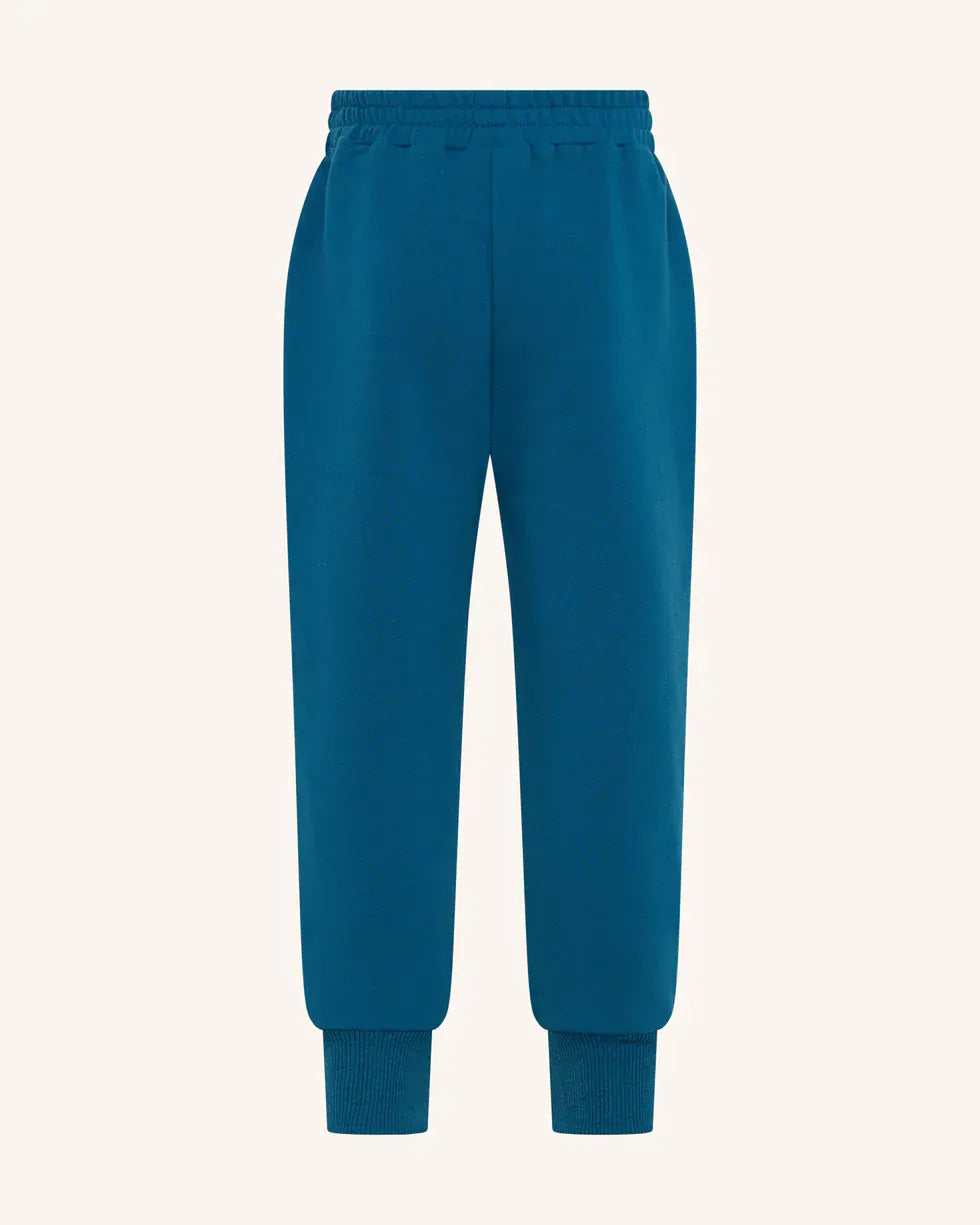 Tiny Tribe Boys Pants Blue Core Sweat Pants
