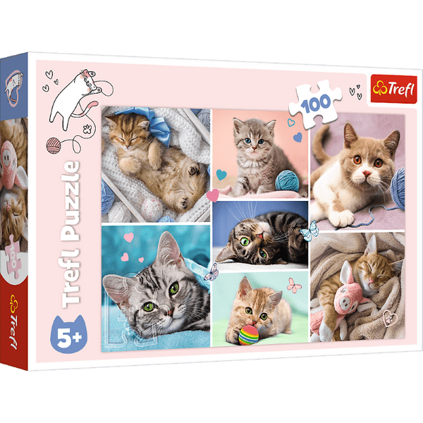 Trefl Toys In The Cat World - 100 Piece Puzzle