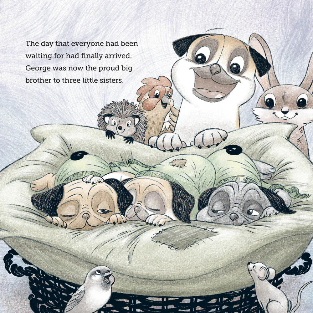 Wilding Books Childrens Books Patrick & George - New Siblings & A Search For Love