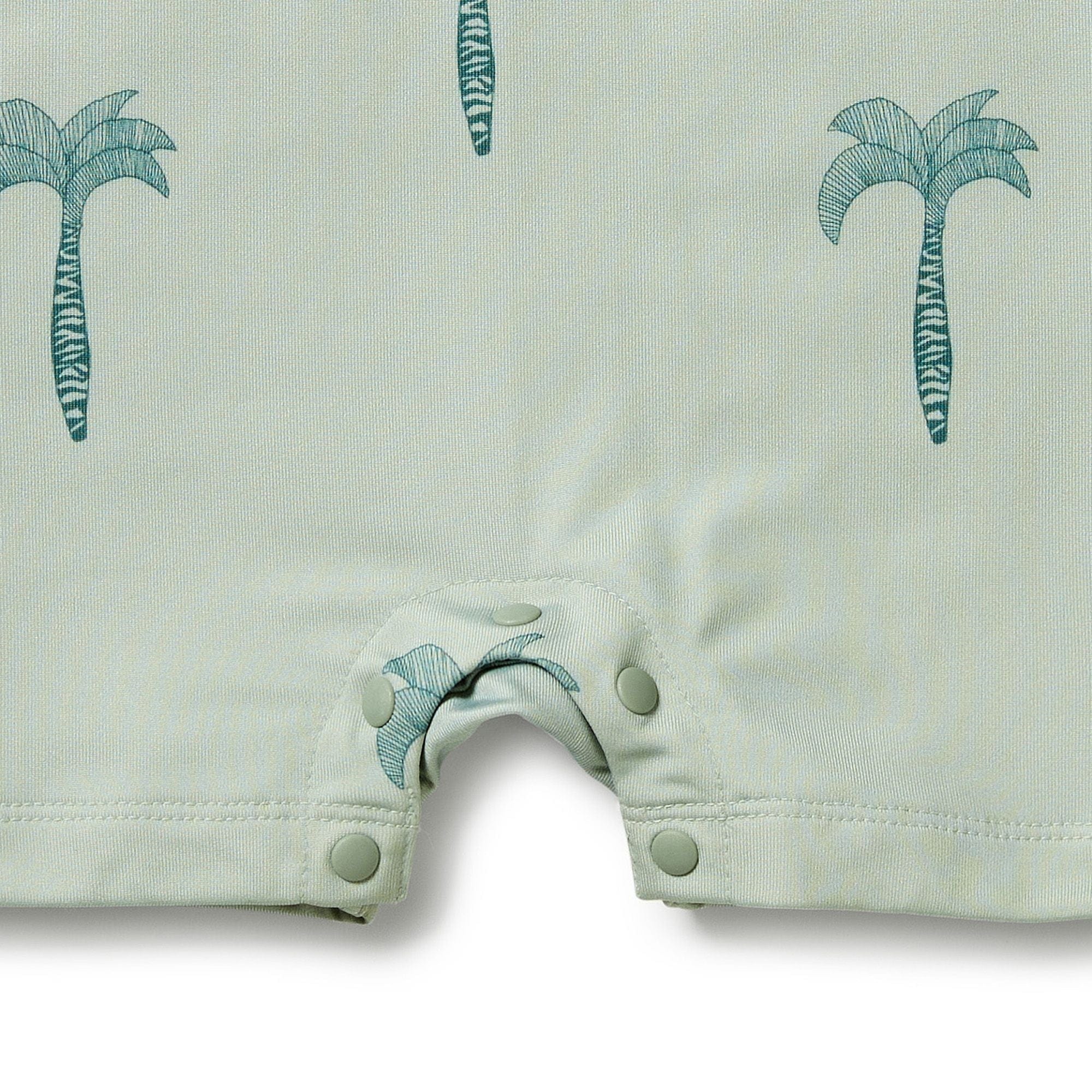 Wilson & Frenchy Boys Swimwear Palm Tree One Piece Boyleg Swimsuit