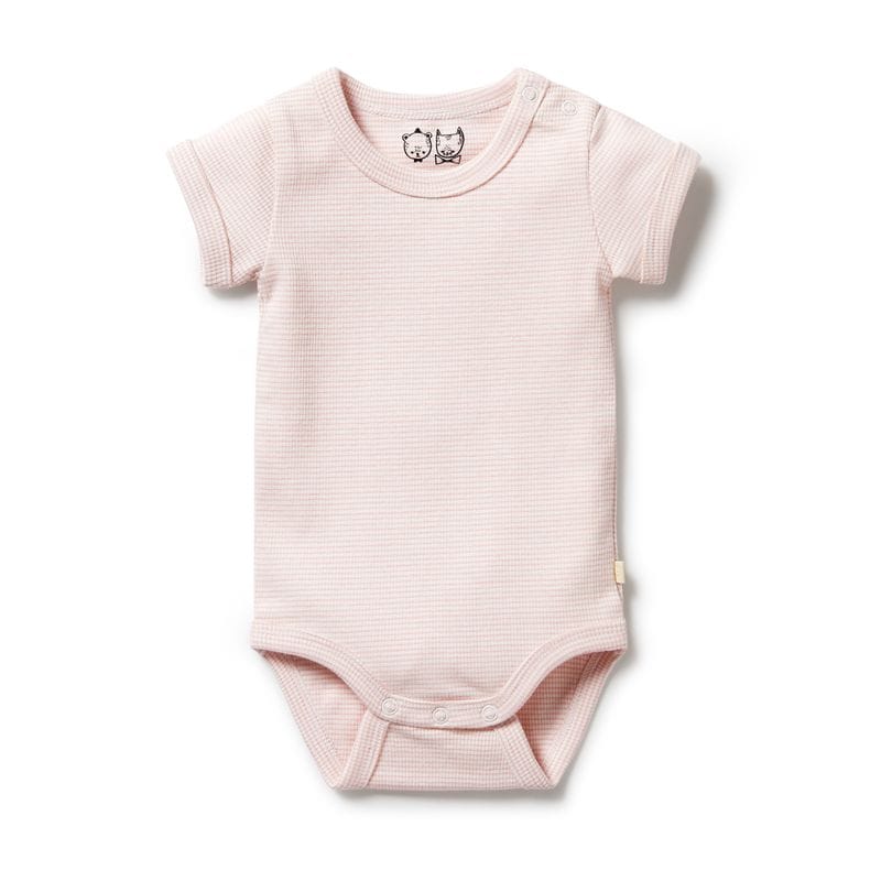 Wilson & Frenchy Girls Onesie 0-3M Organic Stripe Rib Bodysuit - Cantaloupe
