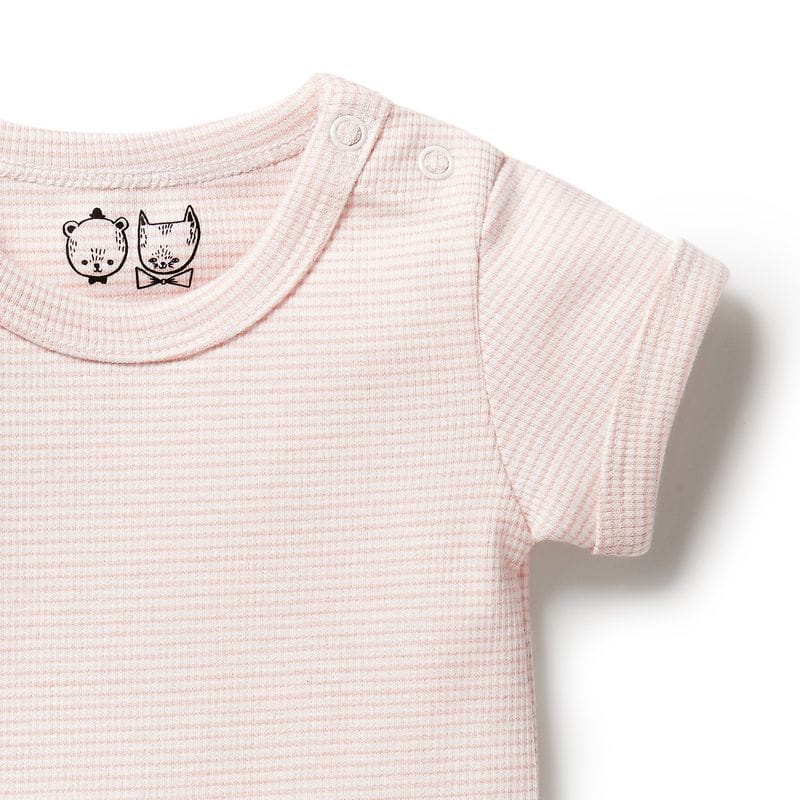 Wilson & Frenchy Girls Onesie Organic Stripe Rib Bodysuit - Cantaloupe