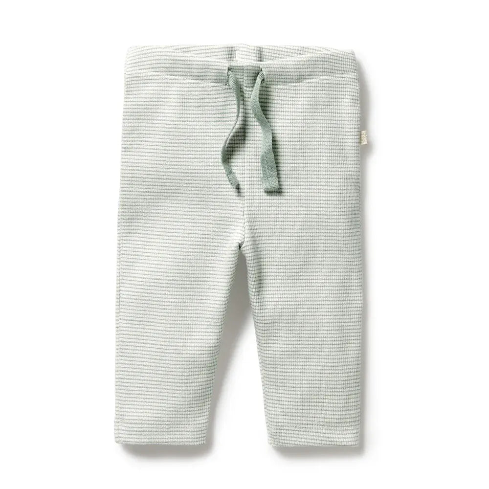 Wilson & Frenchy Unisex Pants 0-3M Organic Stripe Rib Legging - Fern