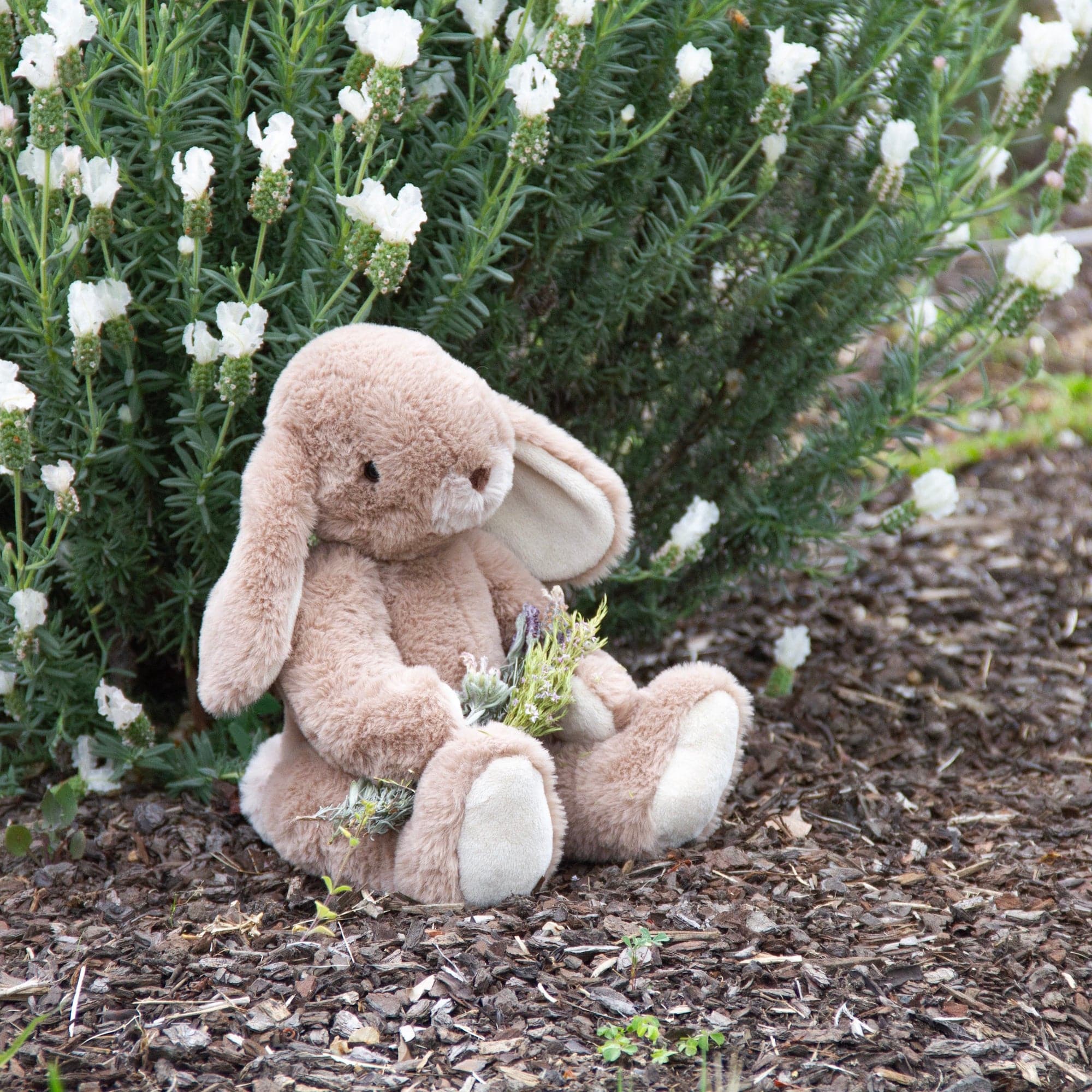 Wonderlings Toys Soft 1678 Margot Hare Bunny