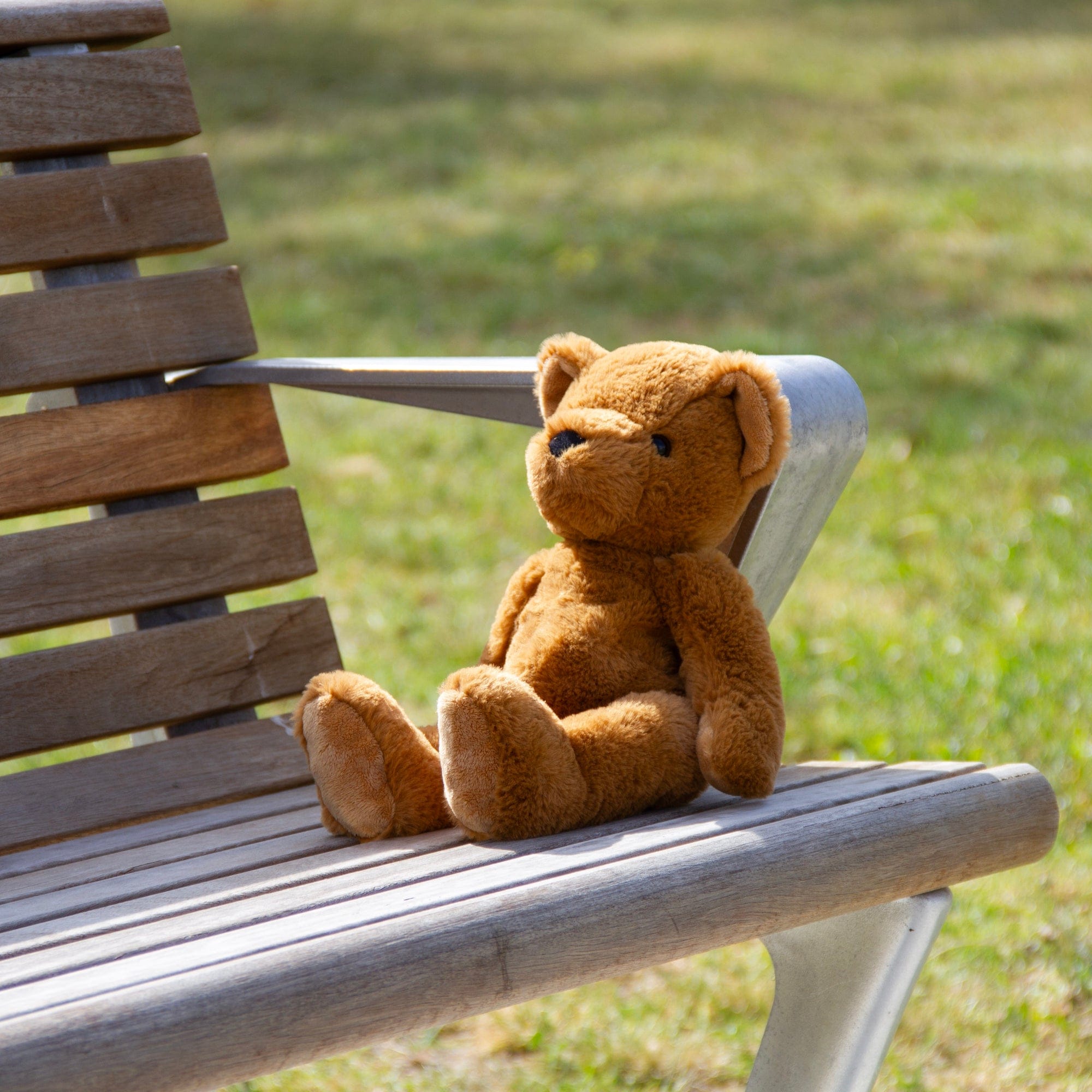 Wonderlings Toys Soft 1902 Theodore Teddy Bear