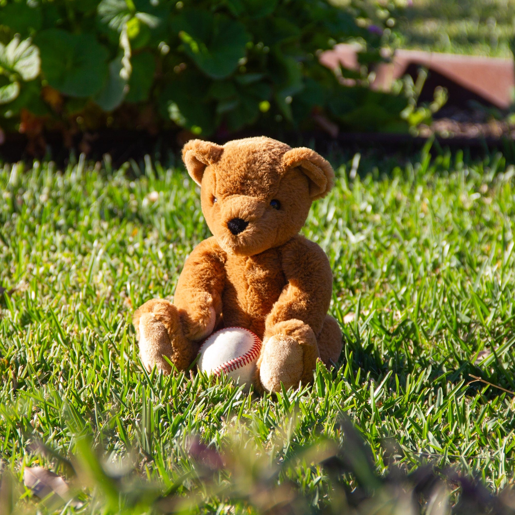 Wonderlings Toys Soft 1902 Theodore Teddy Bear