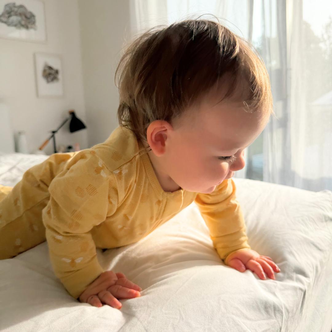 Woolbabe Unisex Sleepware Merino/Organic Cotton PJ Suit - Buttercup Bees