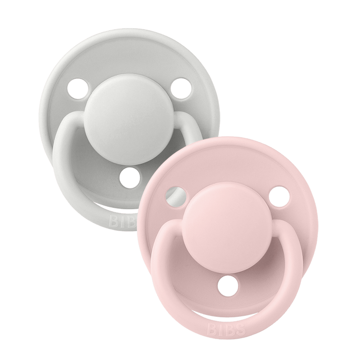 Bibs Baby Accessory Haze/Blossom BIBS De Lux Silicone 2 Pack - One Size