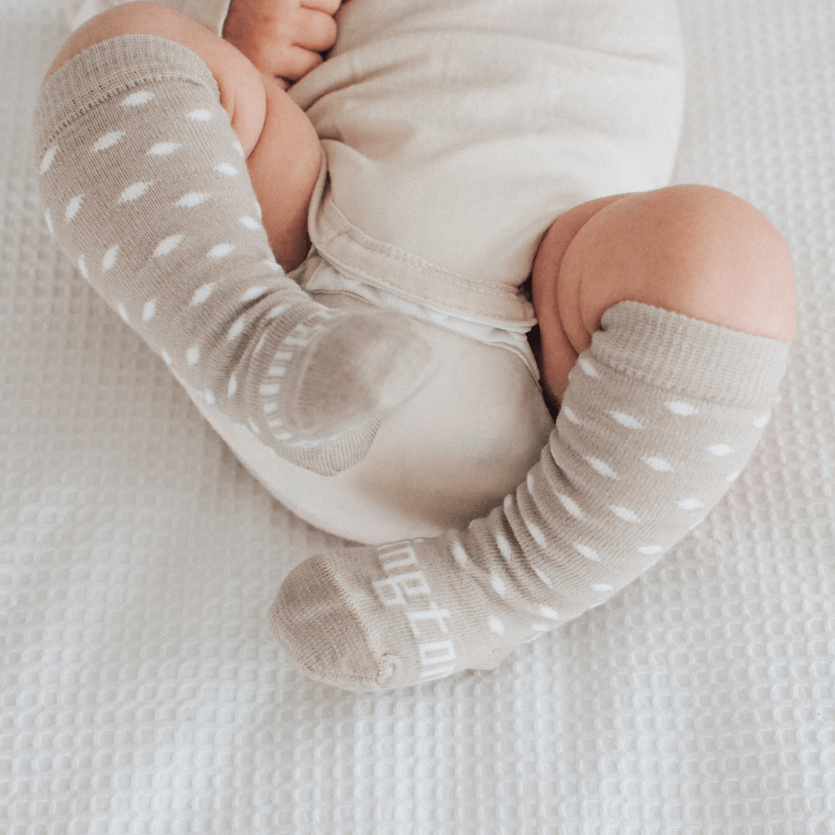 Lamington Accessory Socks Truffle / NB-3M Lamington Merino Baby Socks