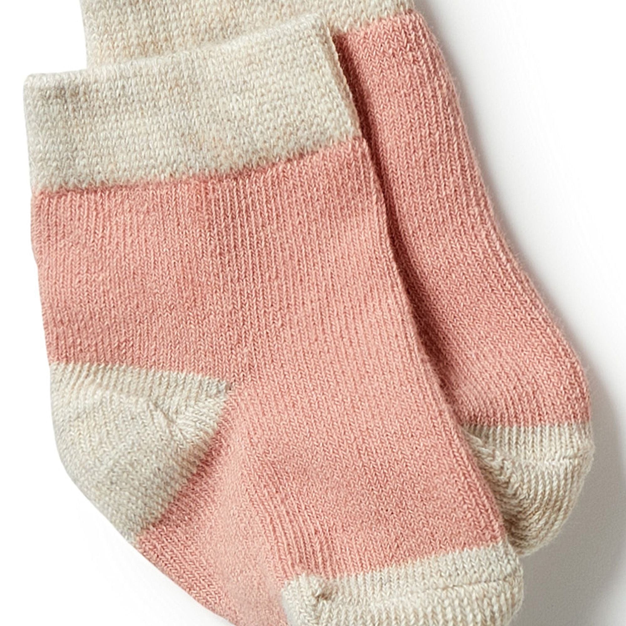 Wilson & Frenchy Accessory Socks Organic 3 Pack Baby Socks